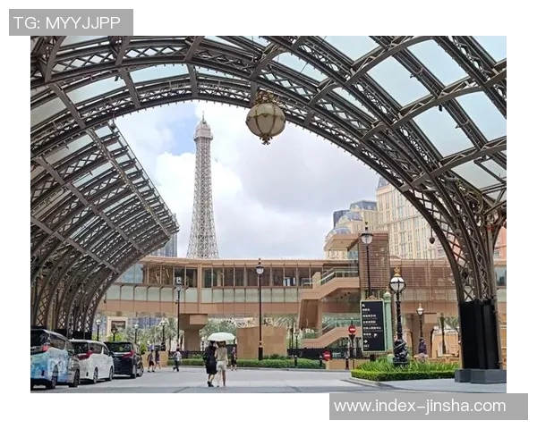 金沙娱乐有哪些-金沙娱乐全解析，种类、服务与特色-金沙娱乐有哪些